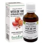 SEMINTE VITA VIE STRUGURI ROSII 50ML
