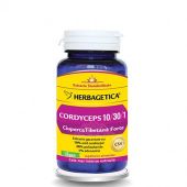 Cordyceps 10/30/1 Ciuperca Tibetana Forte 60cps