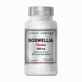 BOSWELLIA 500mg – Extract Tămaie, 60tab