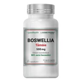 BOSWELLIA 500mg – Extract Tămaie, 30tab