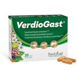 VerdioGast, 20 capsule